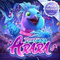 Login No Casinomia Online